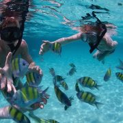Sri Lanka Snorkeling