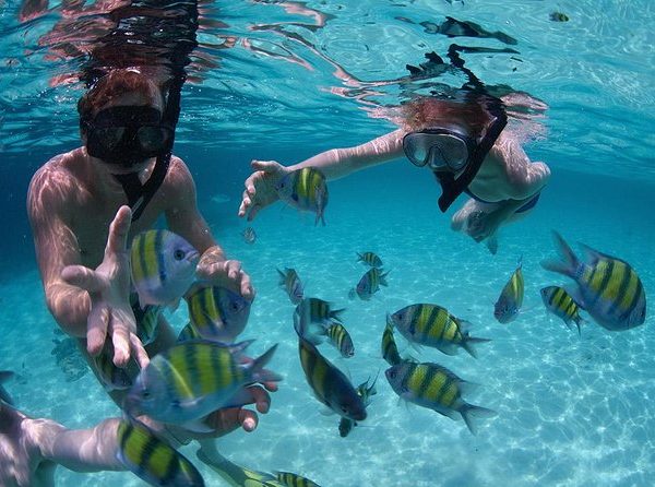 Sri Lanka Snorkeling