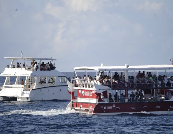 Discover Sri Lanka with Our Guided Group Tours for UK Travellers
