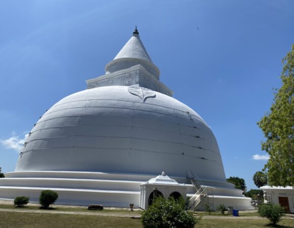 Sri Lanka Tour Package – 8 Days
