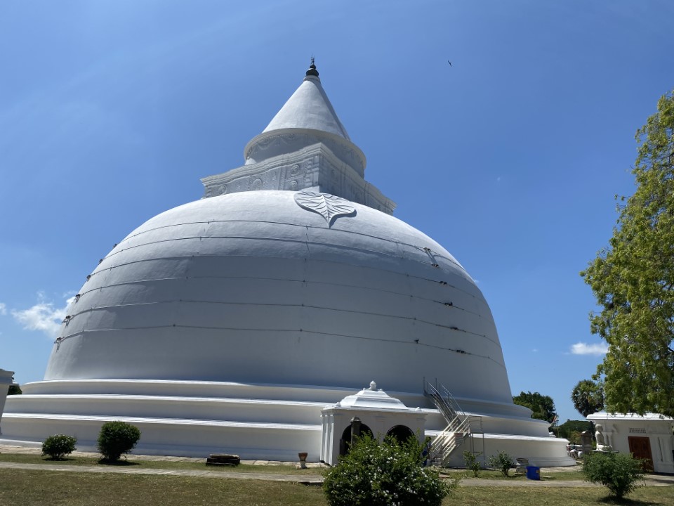 Sri Lanka Tour Package - 8 Days