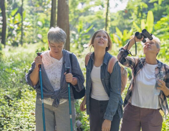 Bird Watching and Photography Tours