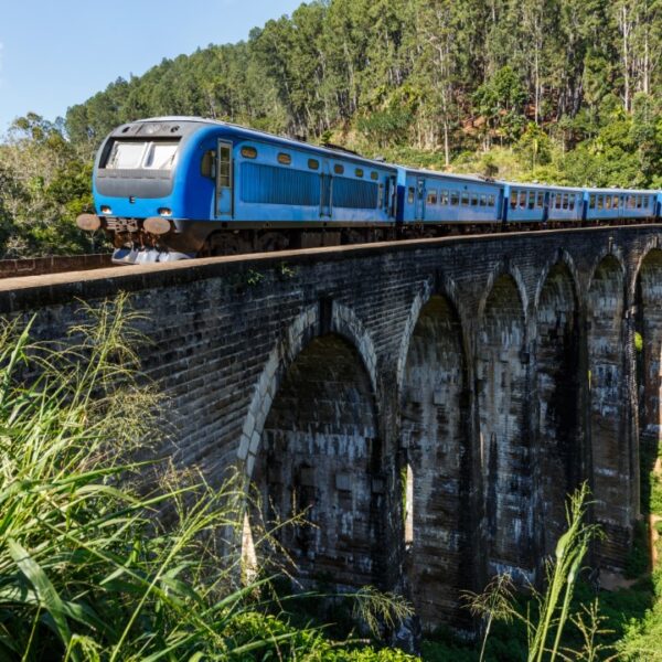 Paquete turístico a Sri Lanka - 10 días