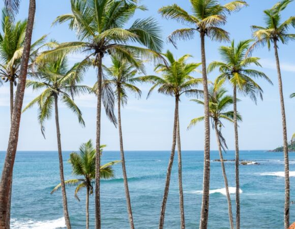 Things to do in Matara – Sri Lanka Southern Coast