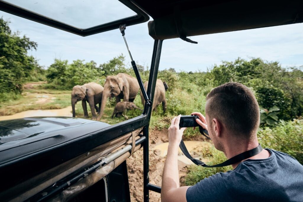 Sri Lanka Safari