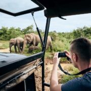 Sri Lanka Safari
