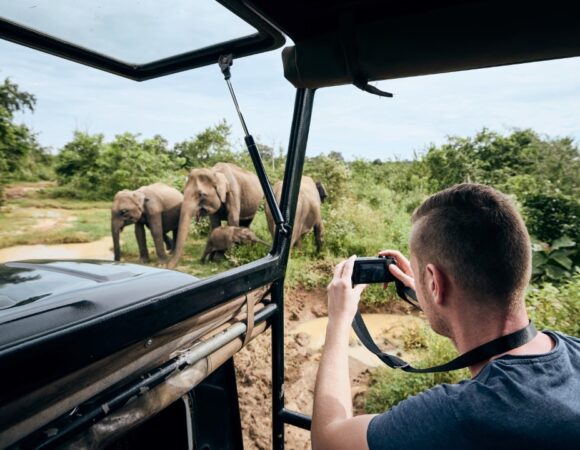Your Ultimate Guide to an Unforgettable Sri Lanka Safari