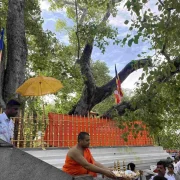 Jaya Sri Maha Bodhi Temple