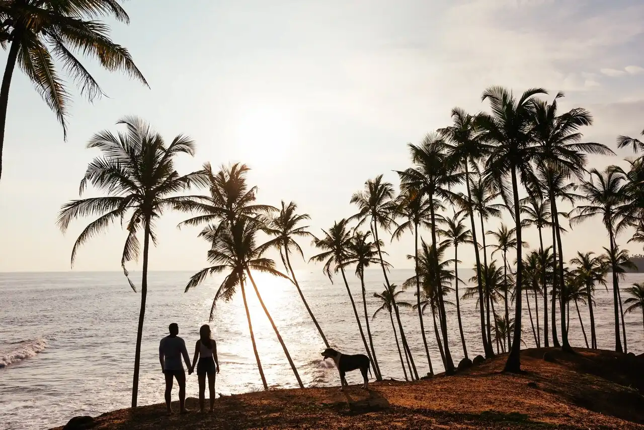 Coconut Tree Hill