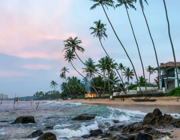 Your Dream Tour from Delhi Awaits! – Sri Lanka Tours from Delhi​