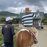 Nuwara Eliya Horse Rides