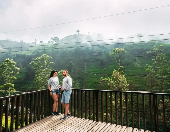 Sri Lanka Private Tour with a Local Driver for UK Travellers