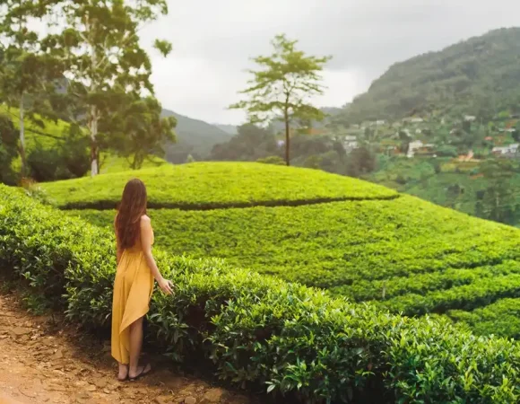 Visa Sri Lanka et Guide Pratique pour les Voyageurs Français