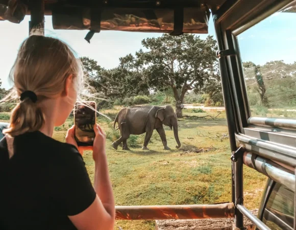 7-Day Sri Lanka Tour Package from Dubai: Beaches, Safaris & Hill Country Adventures