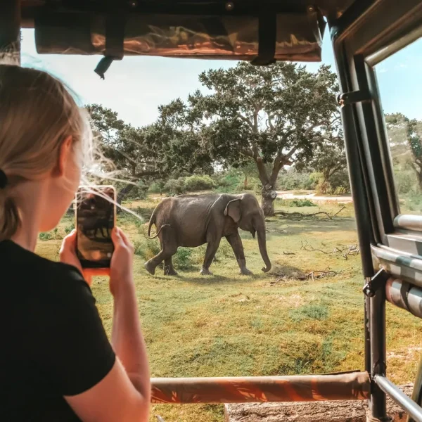 Sri Lanka Safari Tour