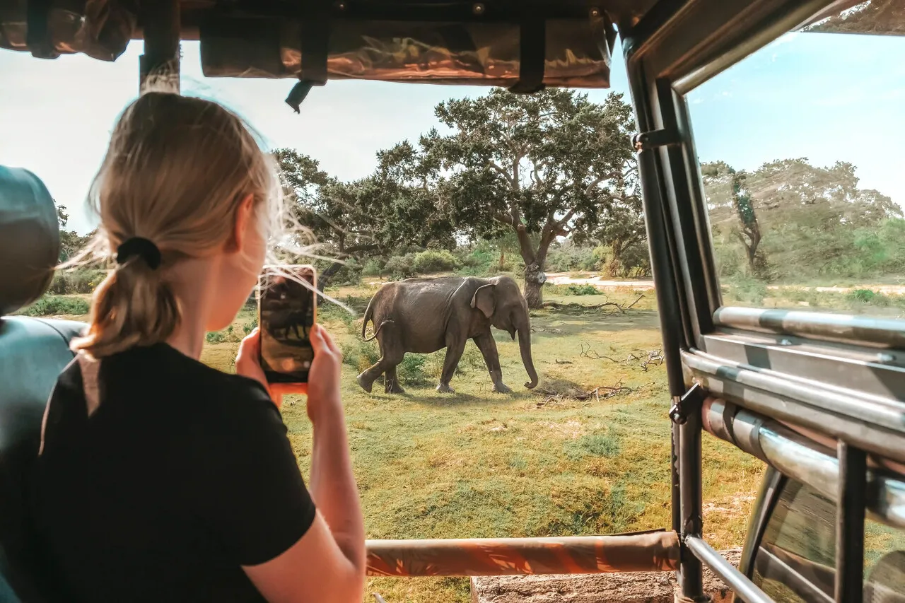 Sri Lanka Safari Tour